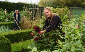 Gardening to provide relief from mild mental health conditions